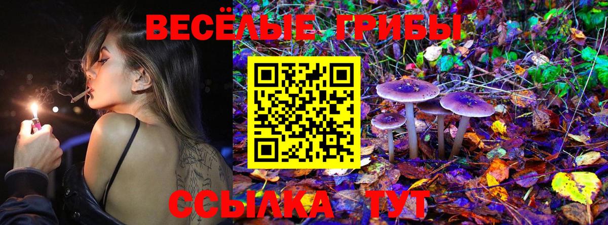 Петропавловск-Камчатский  закладки  Вход с VPN  Галлюциногенные грибы прущие грибы 